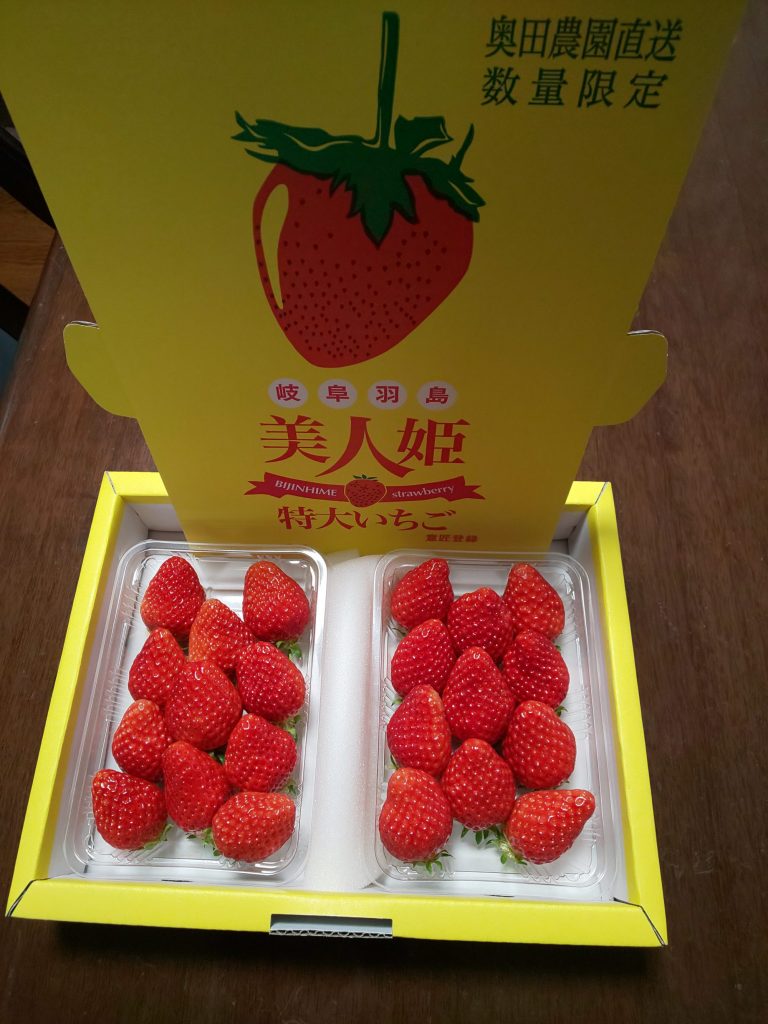 いちご直売所 奥田農園 羽島市 われら仲間たち いちご直売所 奥田農園 羽島市 われら仲間たち